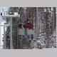 DSC00130.JPG